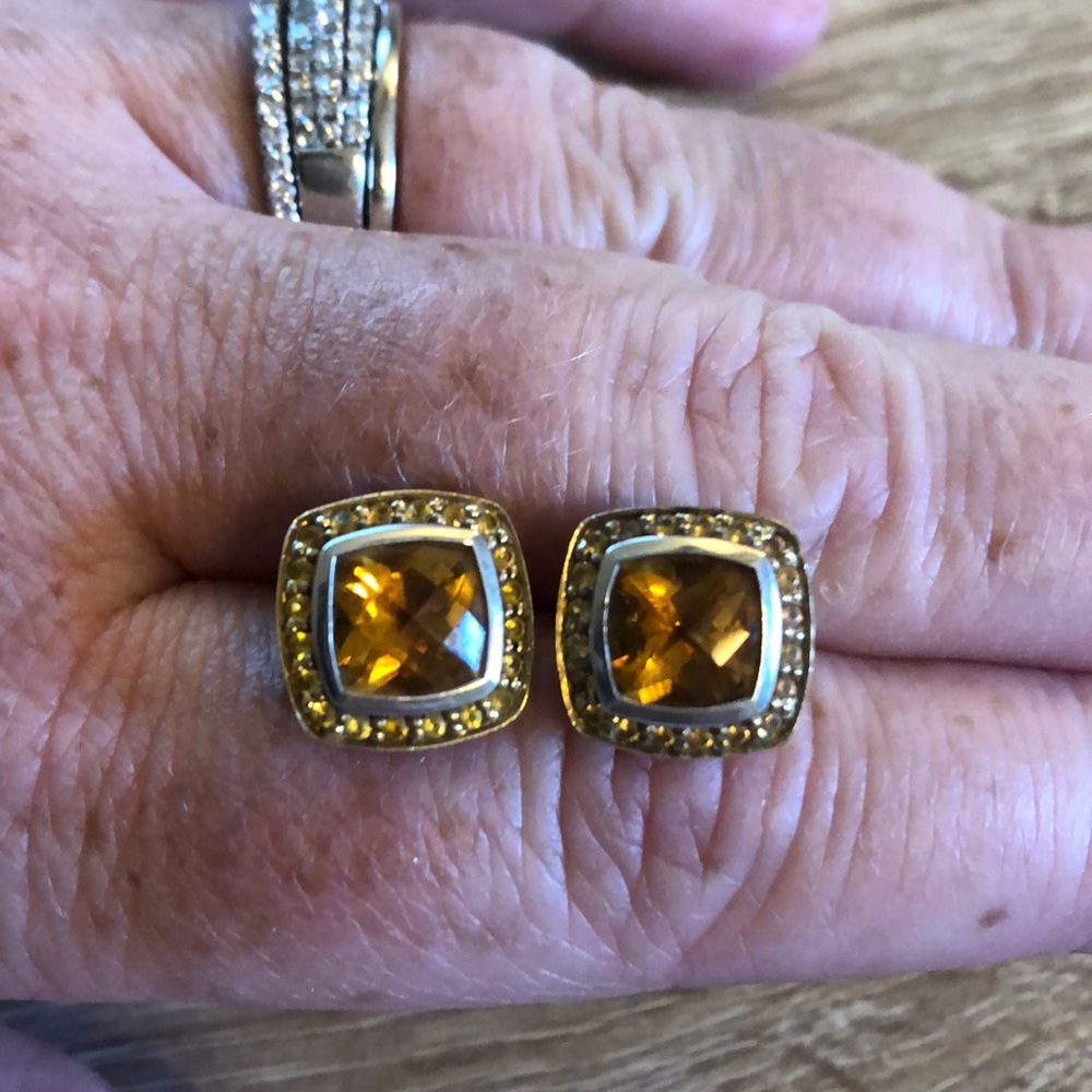 Very Rare David Yurman Cable Candy Earrings